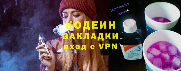 трава Гусиноозёрск