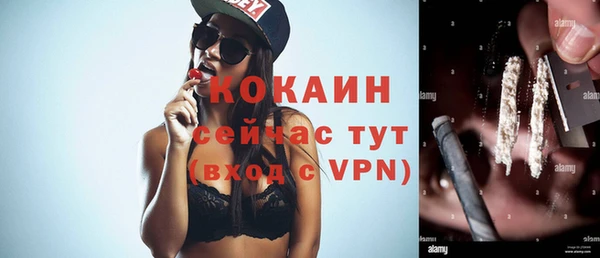 трава Гусиноозёрск