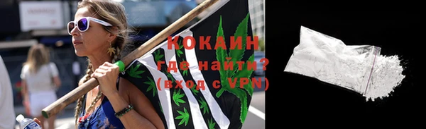 соль ск Гусев