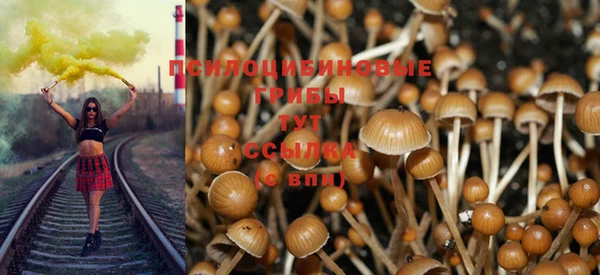 трава Гусиноозёрск