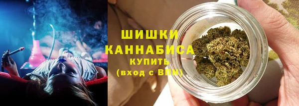 соль ск Гусев