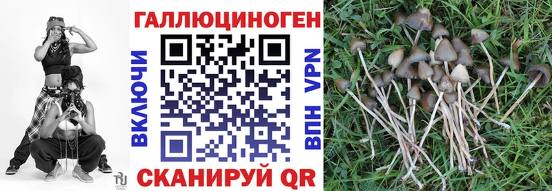 Псилоцибиновые грибы прущие грибы  Купить  Советск 